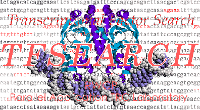 TF Search logo