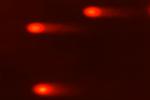 Comet Assay Interest Group logo