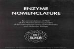 Enzyme Nomenclature (NC-IUBMB) logo