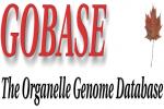 GOBASE logo
