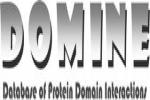 Go to DOMINE DOMINE logo