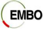 EMBO Molecular Medicine logo