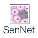 SenNet Consortium logo