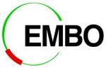 Go to EMBO fellowship EMBO fellowship logo