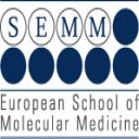 Go to SEMM PhD program SEMM PhD program logo