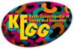 Go to KEGG disease KEGG disease logo