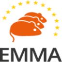 Go to EMMA EMMA logo