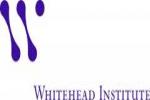 Go to Whitehead Fellows Program Whitehead Fellows Program logo