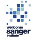 Go to Cancer cell lines Cancer cell lines logo