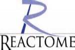 Go to Reactome Reactome logo