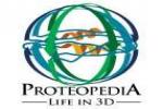 Go to Proteopedia Proteopedia logo