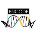 Go to ENCODE ENCODE logo