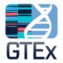 Go to GTExPortal GTExPortal logo